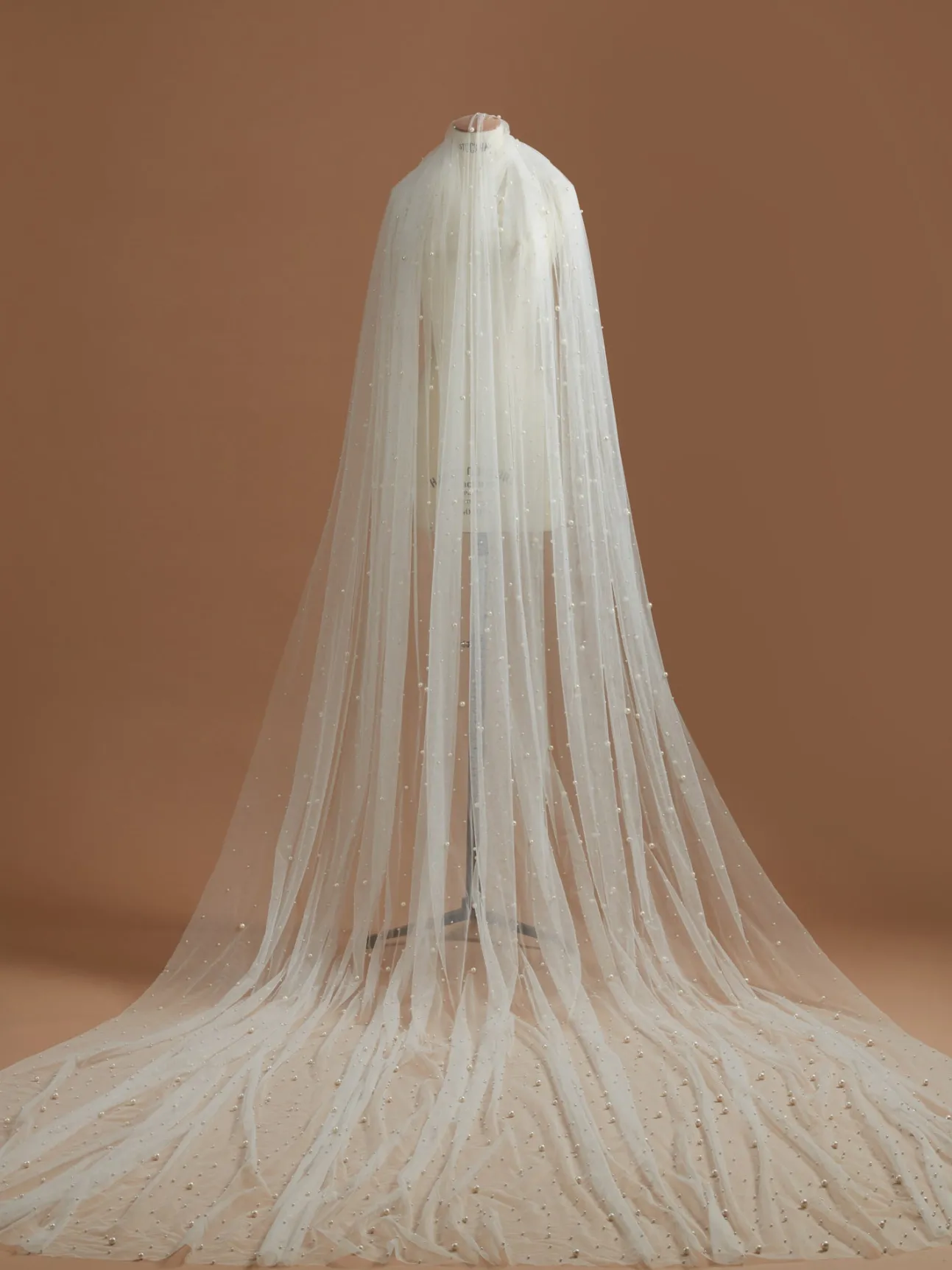 Blanche Veil