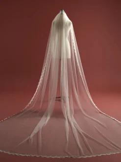 Finesse Veil