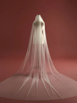Horizon Veil