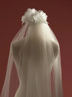 Horizon Veil