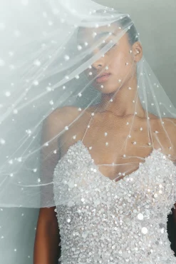 Perri Veil