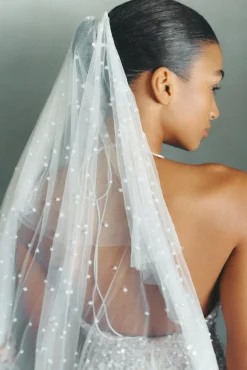 Perri Veil