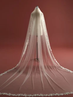 Rosemary Veil