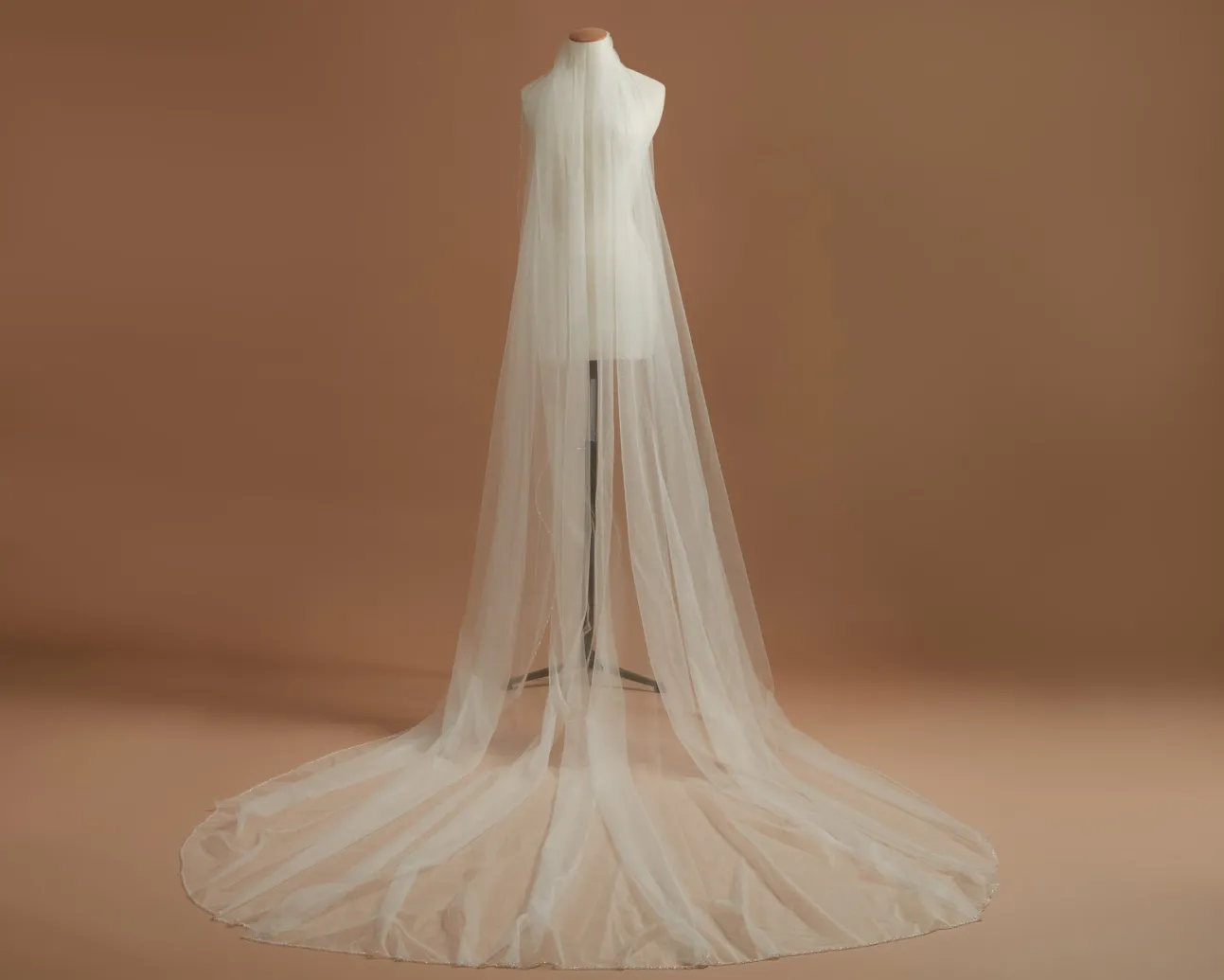 Tammy Veil